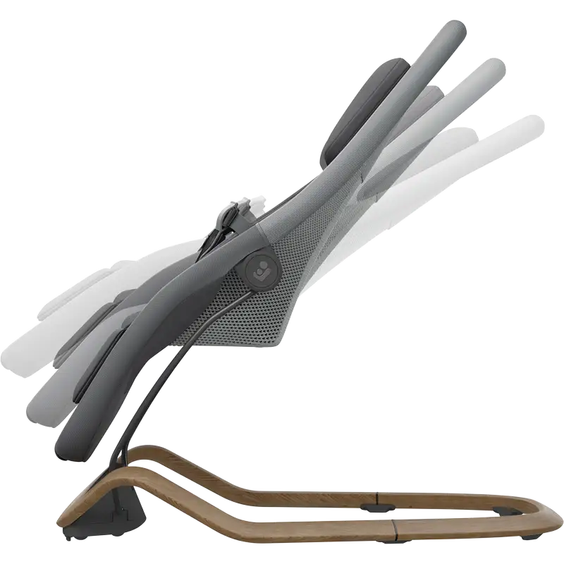 Maxi-Cosi Dove pro - Elegance Graphite - Image 2